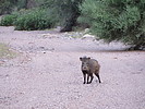 photo thumbnail #2