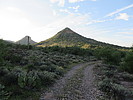photo thumbnail #7
