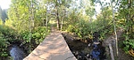 photo thumbnail #11