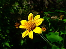 photo thumbnail #13