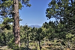 2021-09-03 :1: Groom Creek Loop Trail #307 :: Yoder