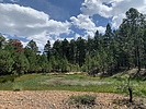 photo thumbnail #9