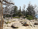 photo thumbnail #3