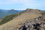 photo thumbnail #12