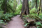 photo thumbnail #13
