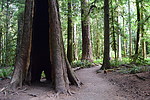 photo thumbnail #15
