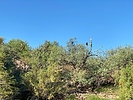 photo thumbnail #3