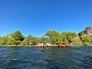 photo thumbnail #7