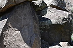 photo thumbnail #9