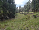 photo thumbnail #6