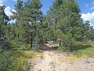 recent photo
