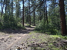 photo thumbnail #8