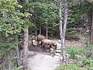 photo thumbnail #7