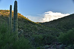 photo thumbnail #8