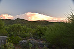 photo thumbnail #10