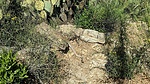 recent photo