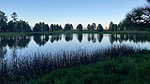 photo thumbnail #15