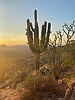 photo thumbnail #13