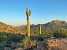 photo thumbnail #14