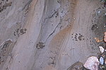 photo thumbnail #15