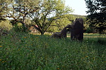 photo thumbnail #10