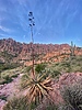 photo thumbnail #11