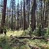 photo thumbnail #4