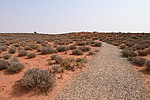 photo thumbnail #1