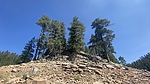 photo thumbnail #5