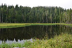 photo thumbnail #3