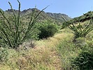 photo thumbnail #11
