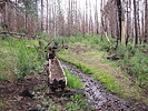 photo thumbnail #3