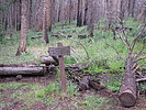 photo thumbnail #4
