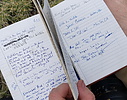 photo thumbnail #10