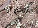 photo thumbnail #8