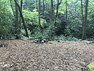 photo thumbnail #7