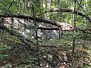 photo thumbnail #10