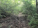 photo thumbnail #15