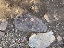 photo thumbnail #6