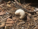 photo thumbnail #15
