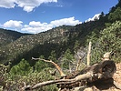 photo thumbnail #1