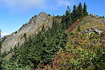 photo thumbnail #11