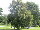photo thumbnail #3