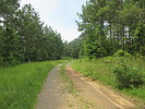photo thumbnail #1