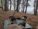 photo thumbnail #6