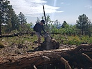 photo thumbnail #3