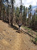 photo thumbnail #7