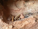 photo thumbnail #8
