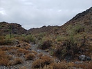 photo thumbnail #5