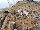 photo thumbnail #8